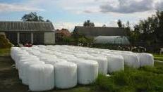 AGROPLAST 500/750 - Folia rolnicza do belowania - Sianokiszonka