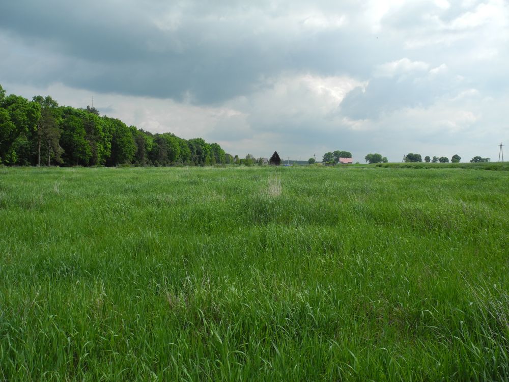 sprzedam działkę Piaski w trakcie przeksz. na budowlaną