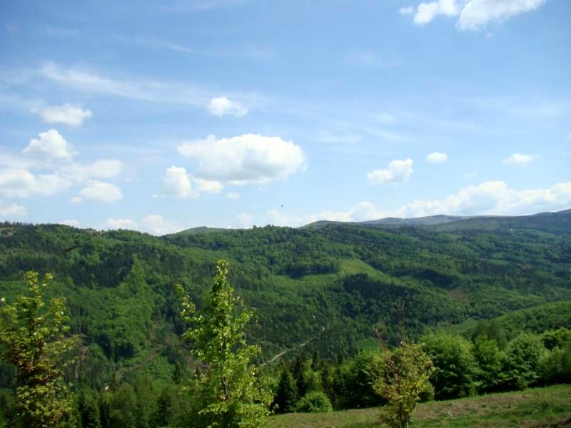 beskidy brenna 2,53 ha z prawem zabudowy