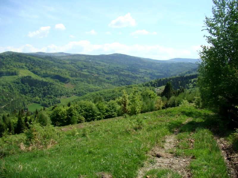 beskidy brenna 2,53 ha z prawem zabudowy